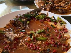 -生态苑农庄(十里画廊遇龙河店)