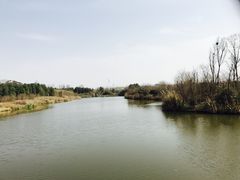 -白鹭湾湿地公园