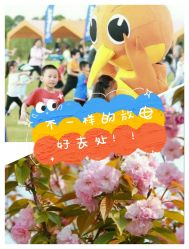 -麦粒鸟亲子游