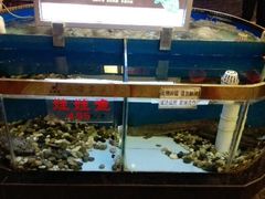 android_upload_pic-百鱼庄(仙葫店)