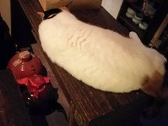 -江湖边·小生活