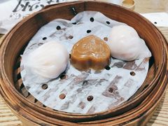 金牌虾饺皇-赏点粤式点心(广州塔店)