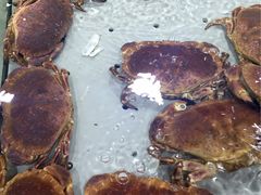 -渔傅·蓝海岸霞浦海鲜(正祥店)