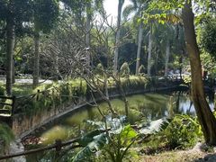 -三亚蜈支洲岛旅游区