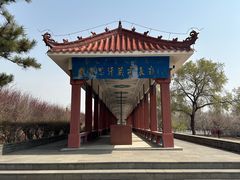 -成吉思汗庙