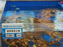 -帝皇海海鲜豆捞(桐泾商务广场店)
