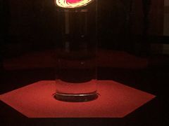 -金沙遗址博物馆