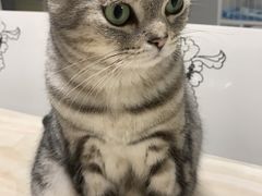 -爱诺耐芙动物医院(万博店)