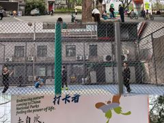 -后海公园