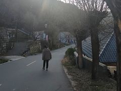 -王顺山国家森林公园