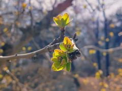 -元大都城垣遗址公园