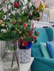 -联合丽格·张菡丽格医疗美容