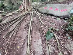 -七仙岭温泉国家森林公园