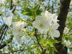 -重庆中央公园(渝北区)