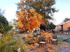 -HERRE·FARM 赫尔露营农场·团建聚会包场