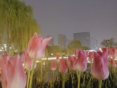 -石湖景区