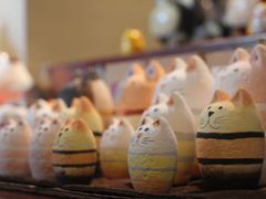 -猫咪博物馆(顶澳仔猫街店)