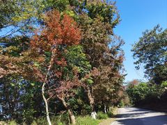 -广州市石门国家森林公园