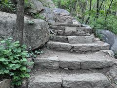 -大岭沟猕猴桃谷风景区