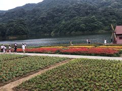 -广州市石门国家森林公园