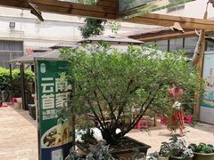 -山大王菌莊