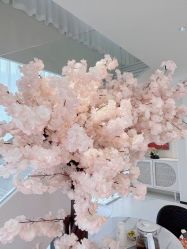 点击看大图 -维格美妍
