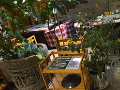 -慢丽江·云南野生菌土鸡锅(付家庄店)