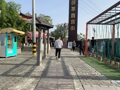 -茯茶镇