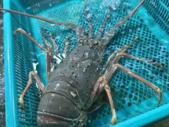 -班赞海鲜市场