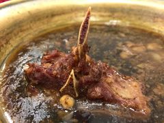 酱羊骨-羊上树(南门外店)