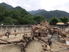 -西安秦岭野生动物园