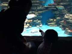 -多彩贵州城极地海洋世界