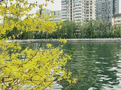-迎泽公园