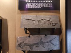 -中华赏石园