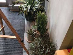 -dotcom coffee古点咖啡(致真大厦店)