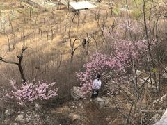 -府君山公园