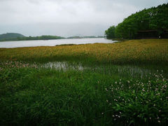 -大九湖