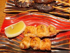 -鸟屯(三里屯店)