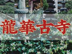 -龙华寺