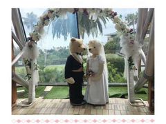 -济州岛泰迪熊博物馆