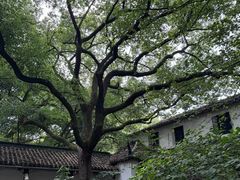 -西园戒幢律寺