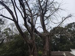 -三国赤壁古战场
