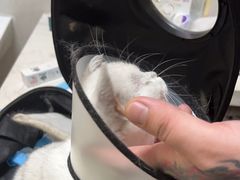 -关爱动物医院·心脏·中兽医·异宠(金牛路分院)