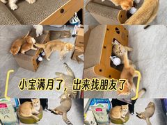-金光华广场
