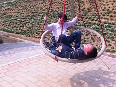 -绵阳盛世樱花悠乐谷