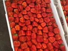 -西郊国际农产品交易中心