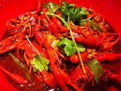 -红辣椒·川菜·火锅(张杨路店)