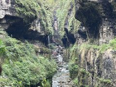 -鹿院坪生态旅游景区