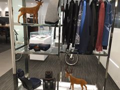 -河南威佳金凯汽车销售服务有限公司