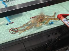 -物美大卖场(玉蜓桥店)